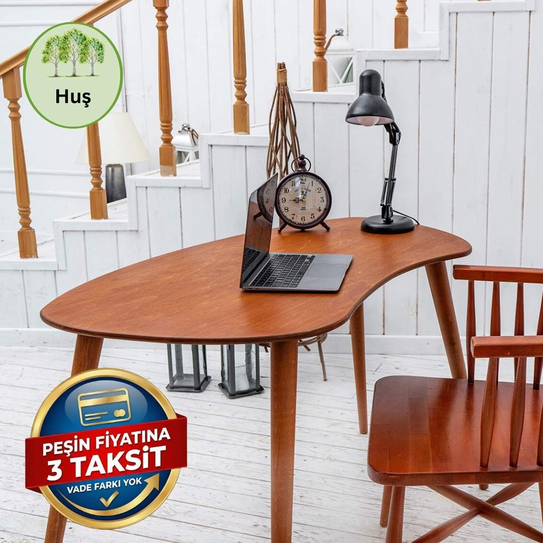 Liza Çalışma Masası