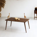 Dora Dikdörtgen Orta Sehpa